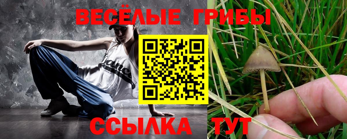 Махачкала  купить закладку  Вход с VPN  Псилоцибиновые грибы прущие грибы 